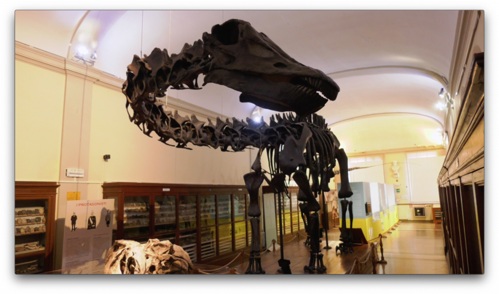SMA – Sistema Museale di Ateneo